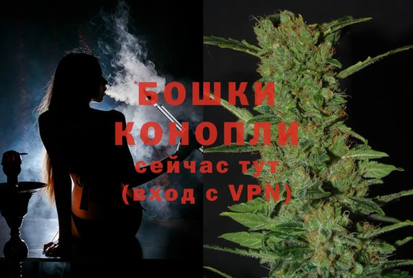 СК Анжеро-Судженск